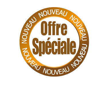 offre-spéciale-à-partir-de-49-euros-png-391x300